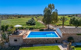 Finca Agroturismo Sa Cova den Borino